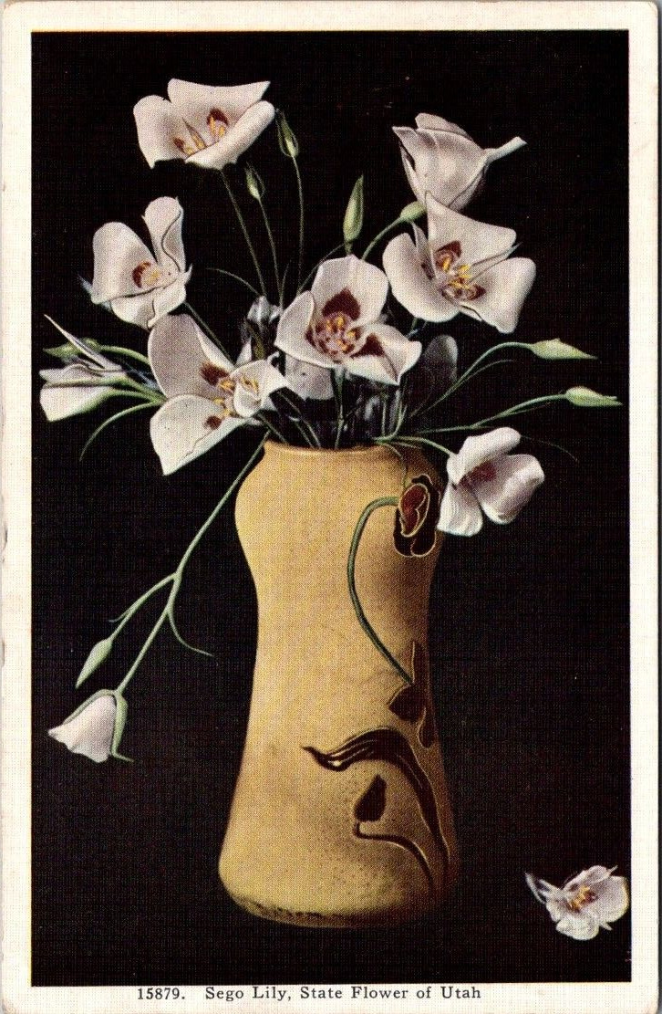Utah UT - Sego Lily, State Flower of Utah - Vintage Postcard - Unposted -A21