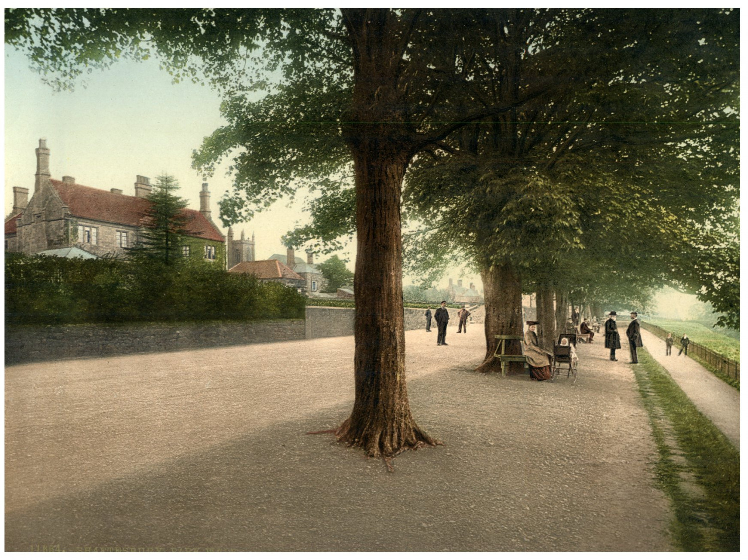 Shaftesbury. Park Walk. PZ Vintage Photochromie, England Photochromie, Vintage