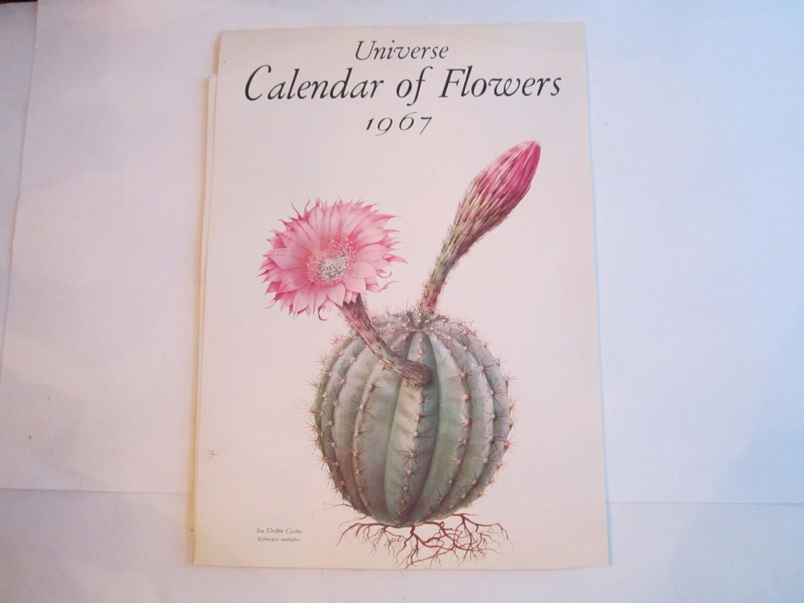 1967 UNIVERSE CALENDAR OF FLOWERS - 14\