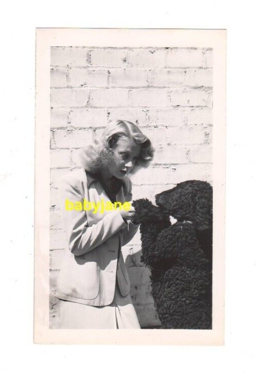 JUNE HAVOC ORIGINAL 3X5 PHOTO W/ A POODLE DOG 1943 CANDID TAKEN BY A FAN