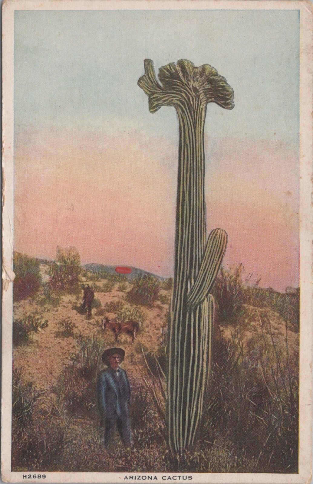 Arizona Cactus H2689 Fred Harvey 1921 RPO PM Postcard