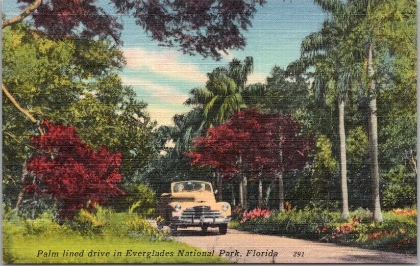 c1940s EVERGLADES NATIONAL PARK Florida Postcard \