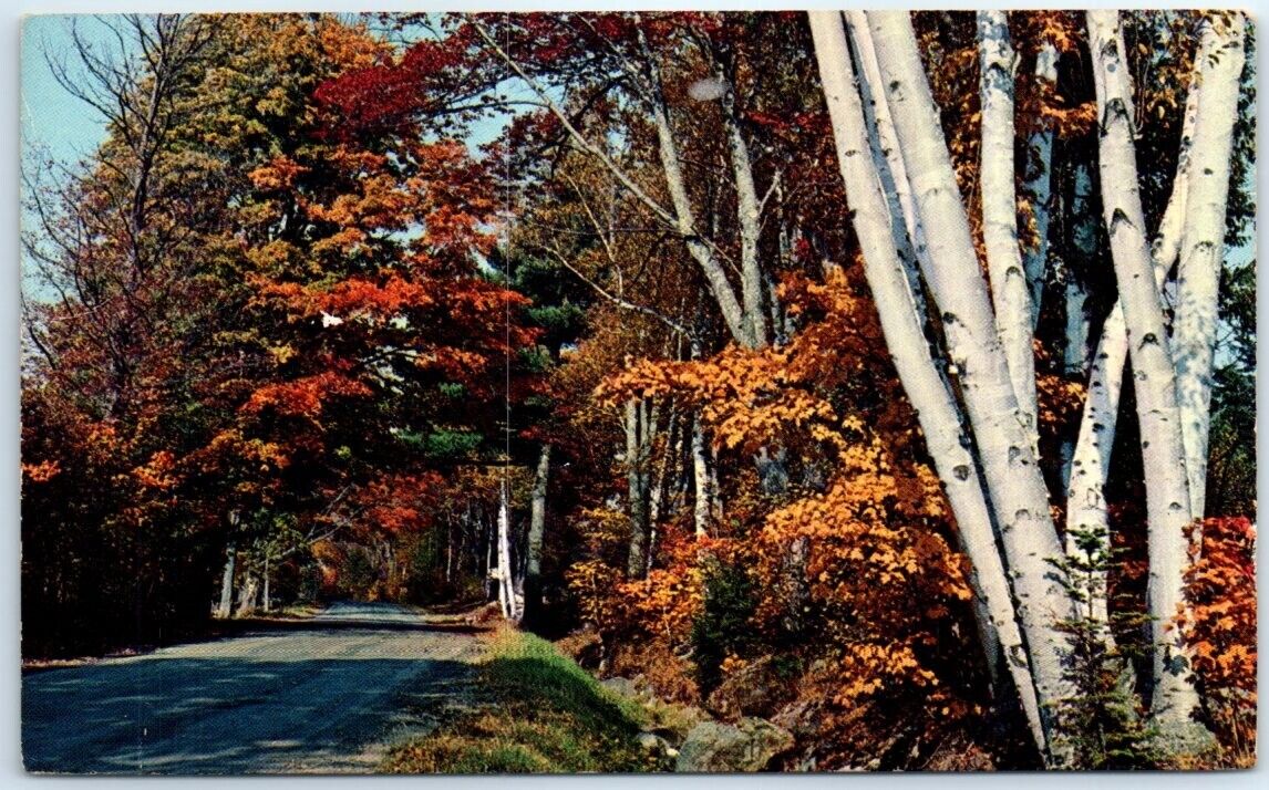 Postcard - Fall in the Country