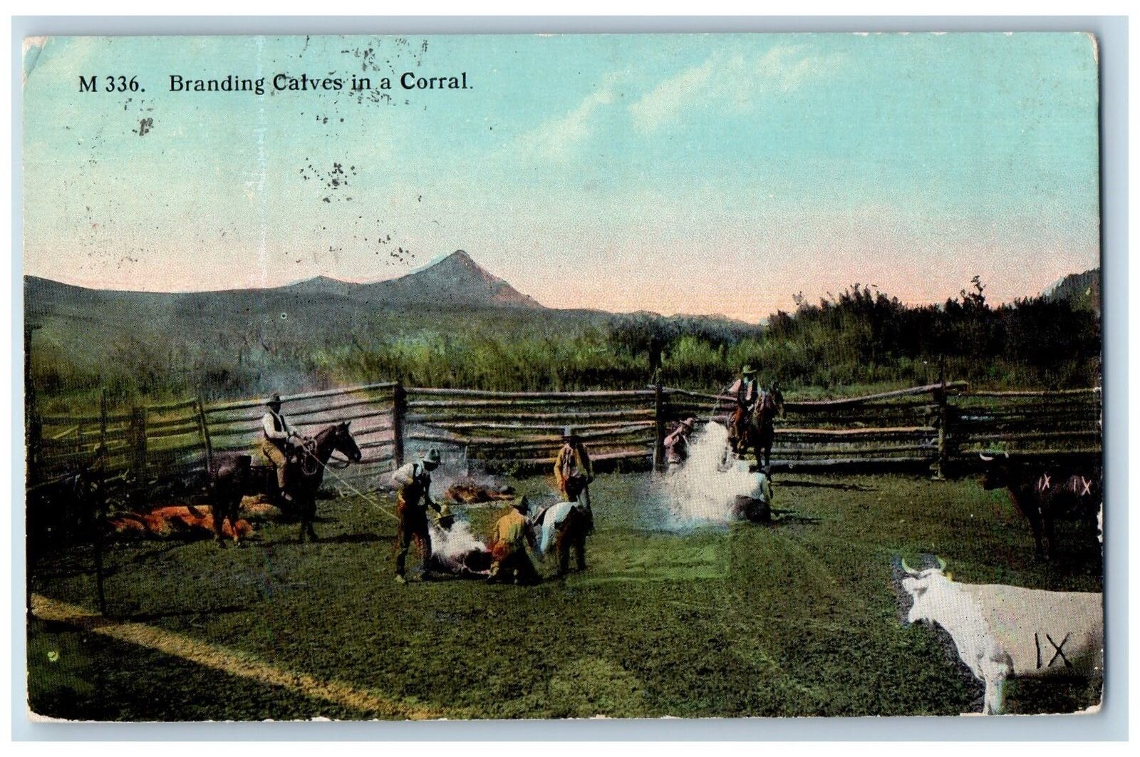 Malta Montana MT Postcard Branding Calves In A Corral Horse Scene 1914 Antique