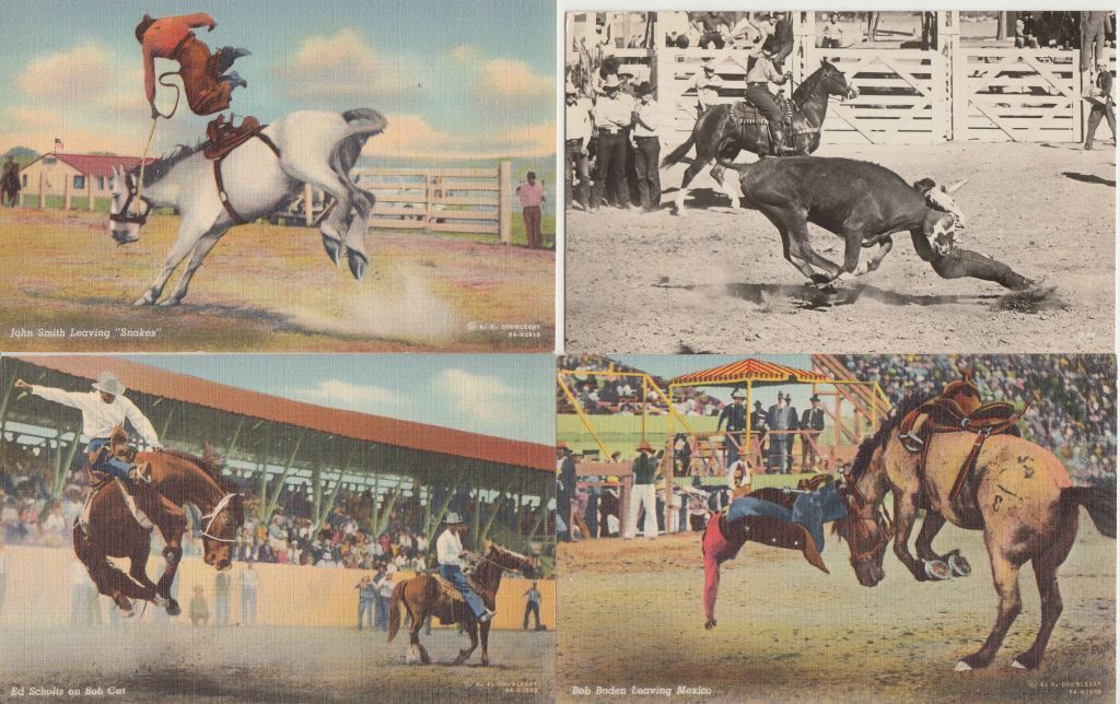 COWBOYS USA on Horses and Bulls 28 Vintage Postcards mostly pre-1950 (L3891)