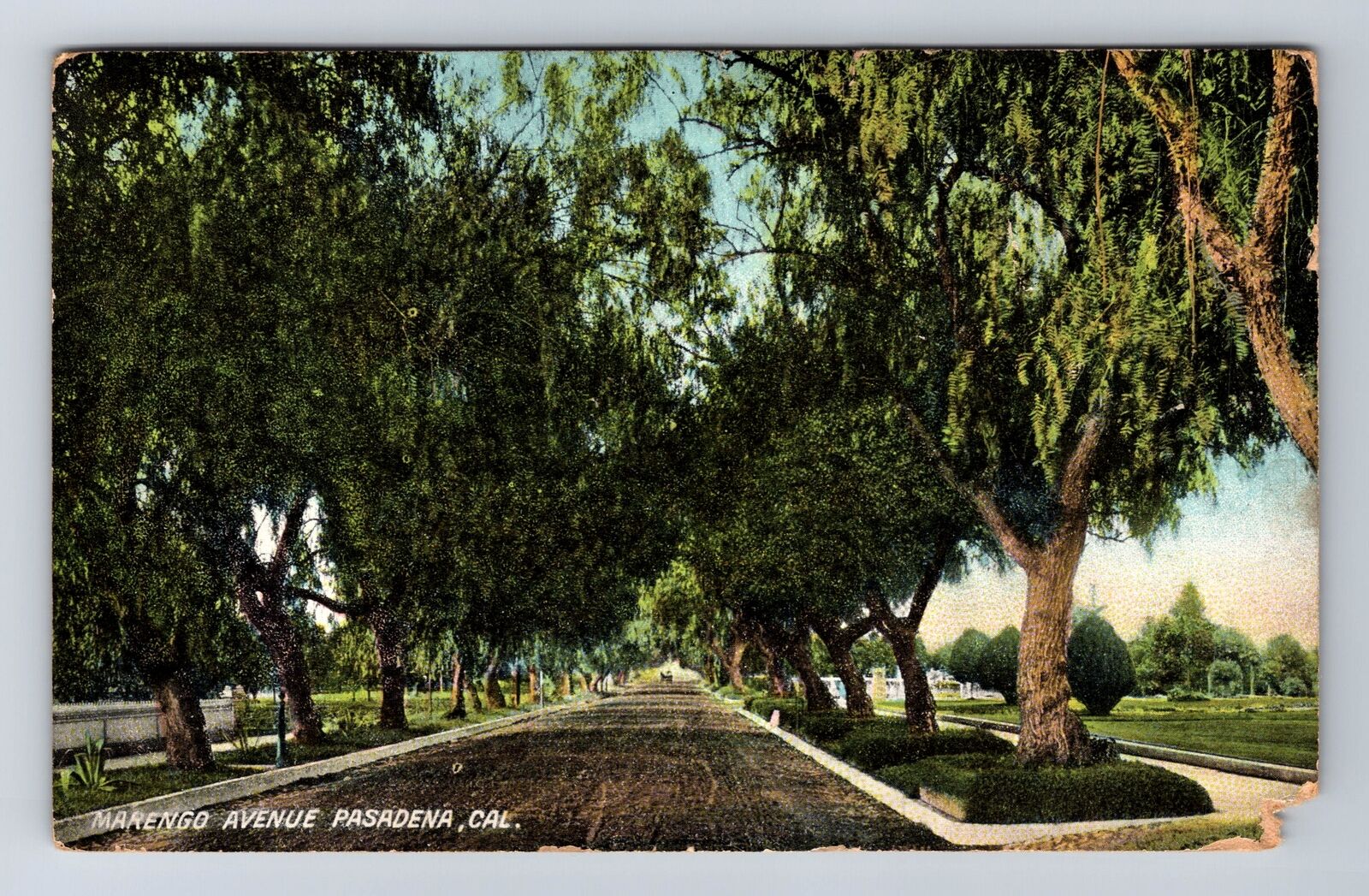 Pasadena CA-California, Marengo Avenue, Antique, Vintage c1910 Postcard