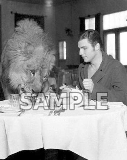 8x10 photo Jackie, the MGM Pictures logo lion having dinner with his trainer