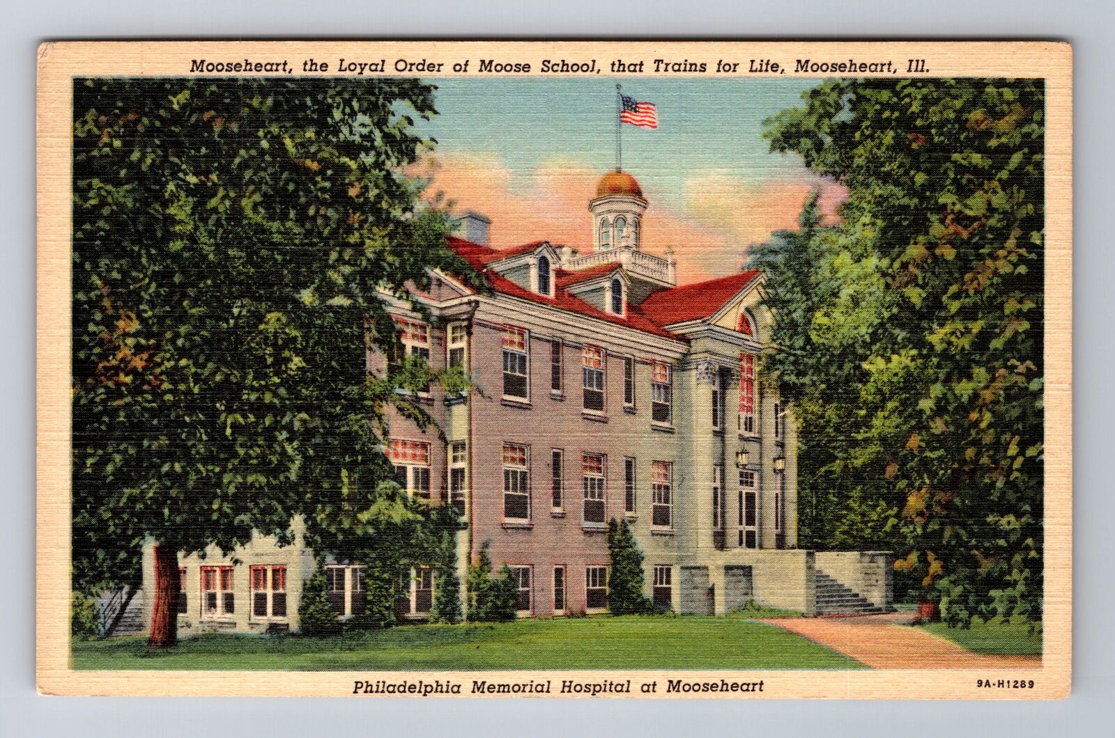 Mooseheart IL-Illinois, Hospital, Loyal Order Of Moose School, Vintage Postcard