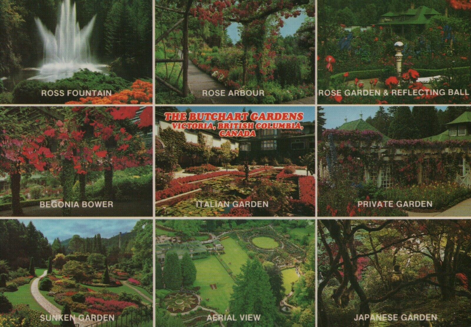  Continental Size Postcard The Butchart Gardens Victoria BC Canada