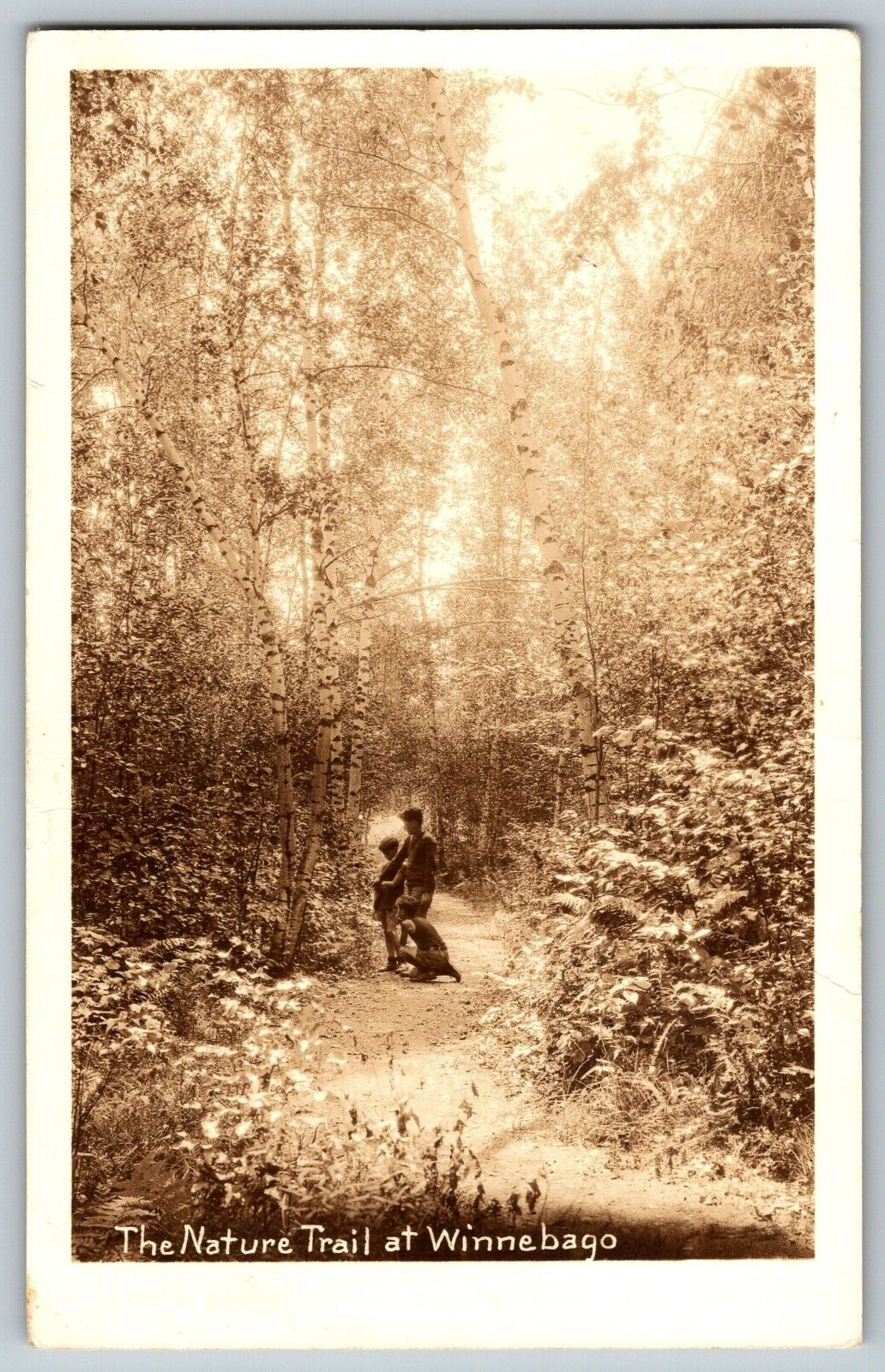RPPC Vintage Postcard - The Nature Trail at Winnebago - Real Photo - Posted