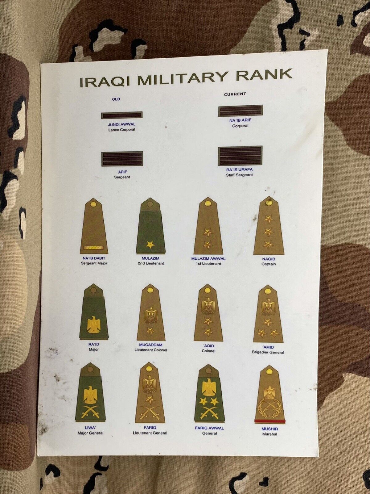 Original Post-2003 Iraqi Army Ranks Laminated Sheet