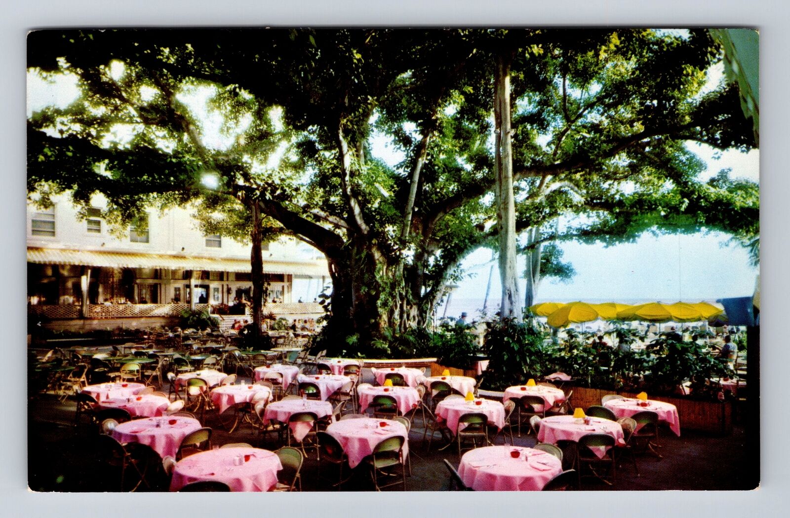 Lanai HI-Hawaii, Moana Hotel\'s, Advertisement, Antique, Vintage c1967 Postcard
