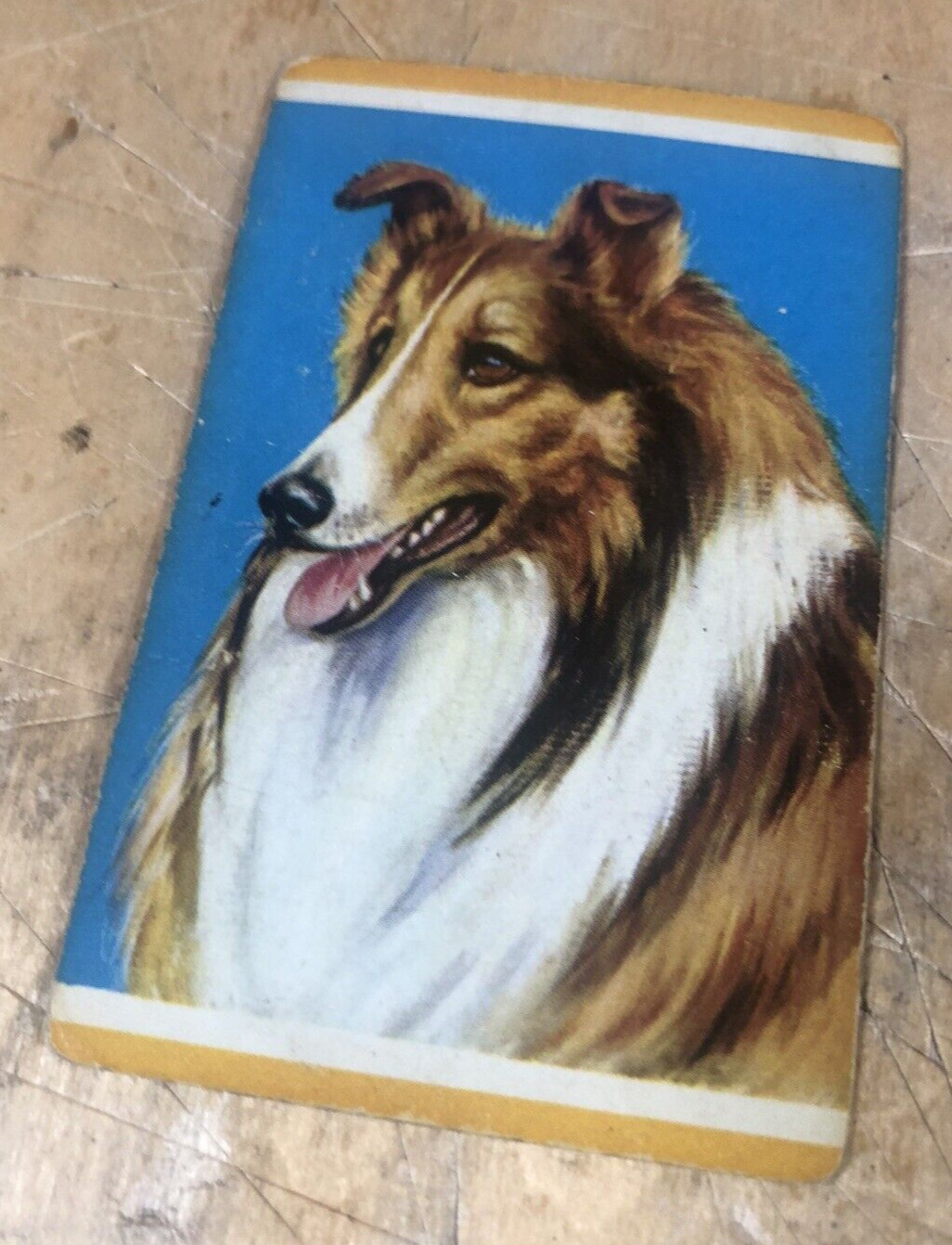 One (1) SINGLE SWAP Playing Card Vtg 50-60s LASSIE Collie TV Television Show Dog