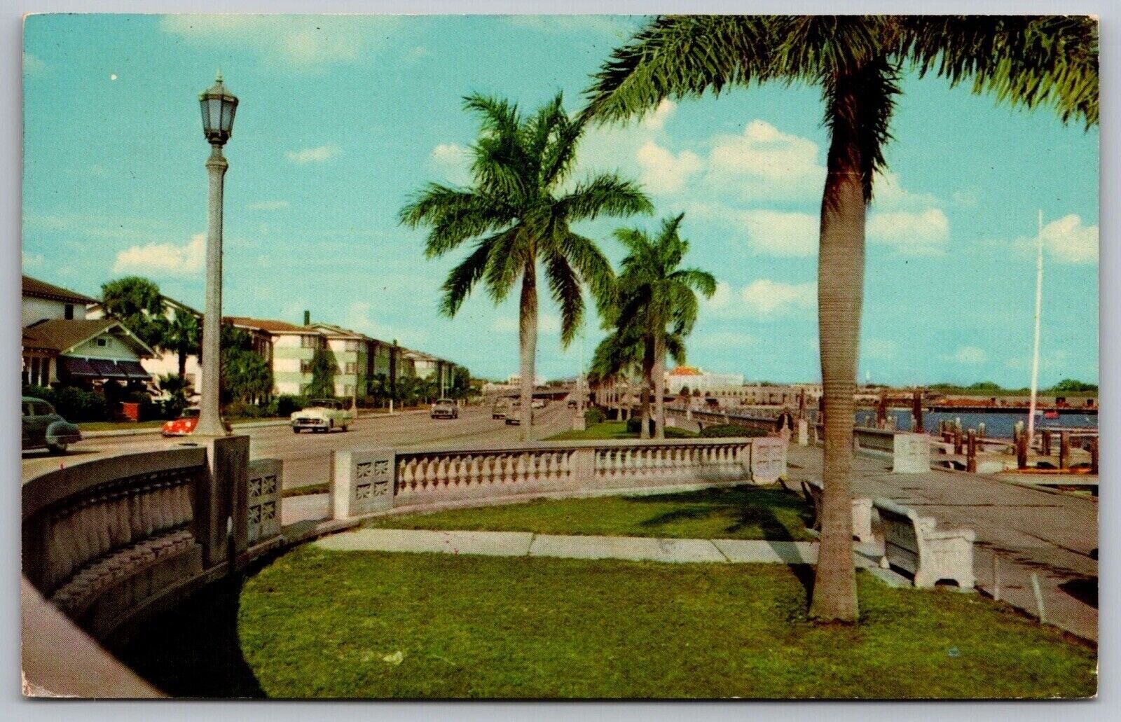 Florida Tampa Palm Bordered Bayshore Drive Entrance Davis Islands PM Postcard