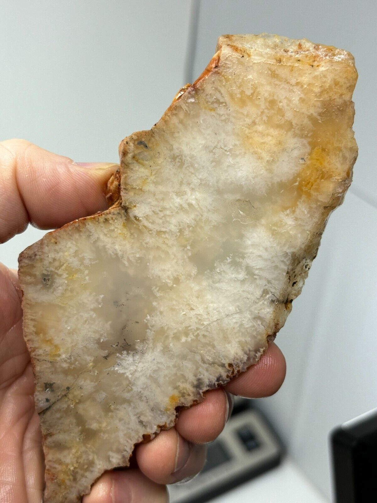Plume Agate slab Cabbing Lapidary Collecting Combo Ship Avail Oregon