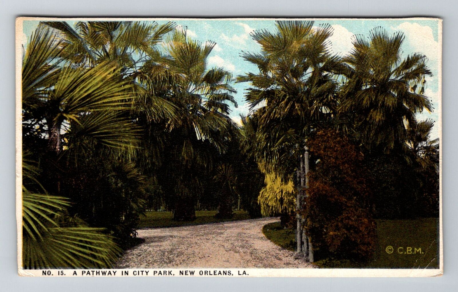 New Orleans LA-Louisiana, A Pathway In City Park Vintage Souvenir Postcard