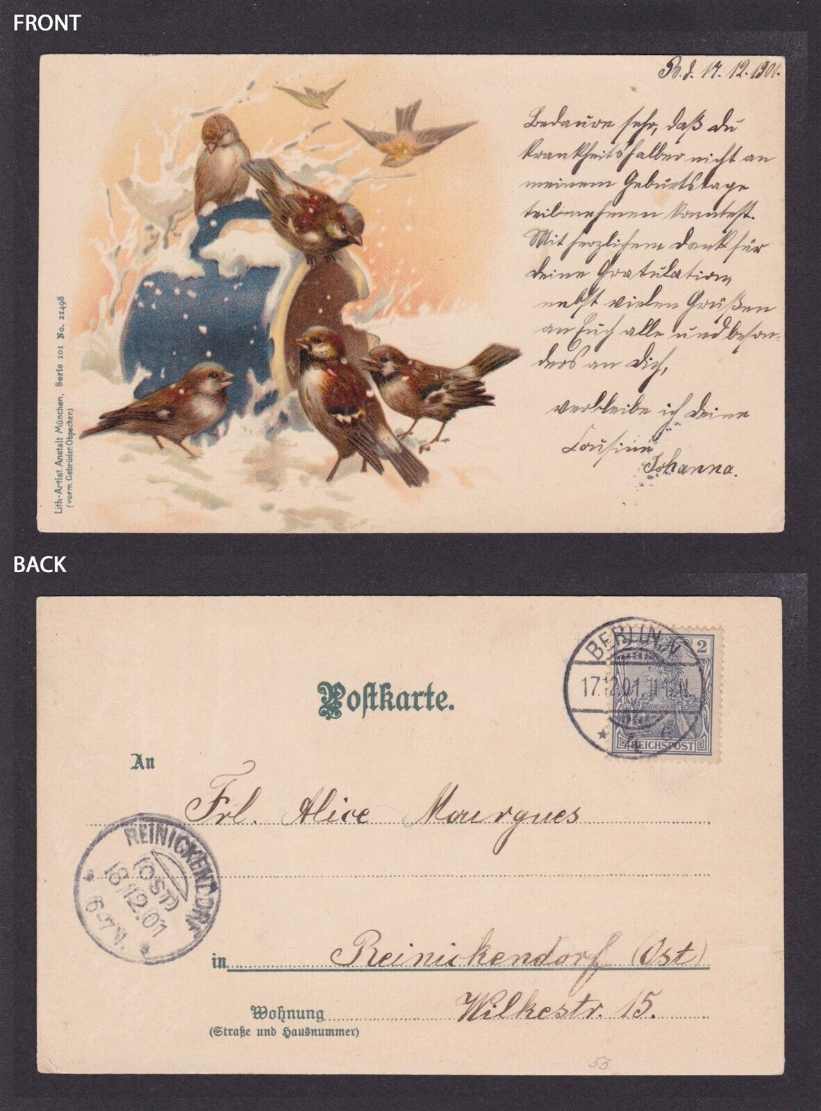 GERMANY 1901, Vintage postcard, Sparrows, Birds, Posted
