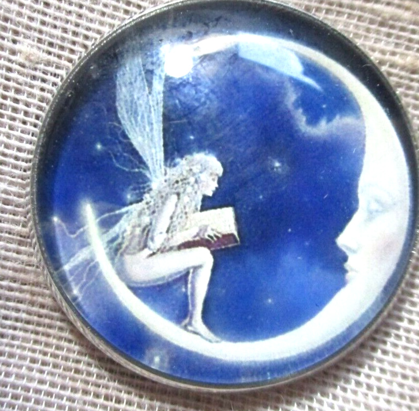 NEW GLASS DOME PIC BUTTON  FAIRY READING TO \