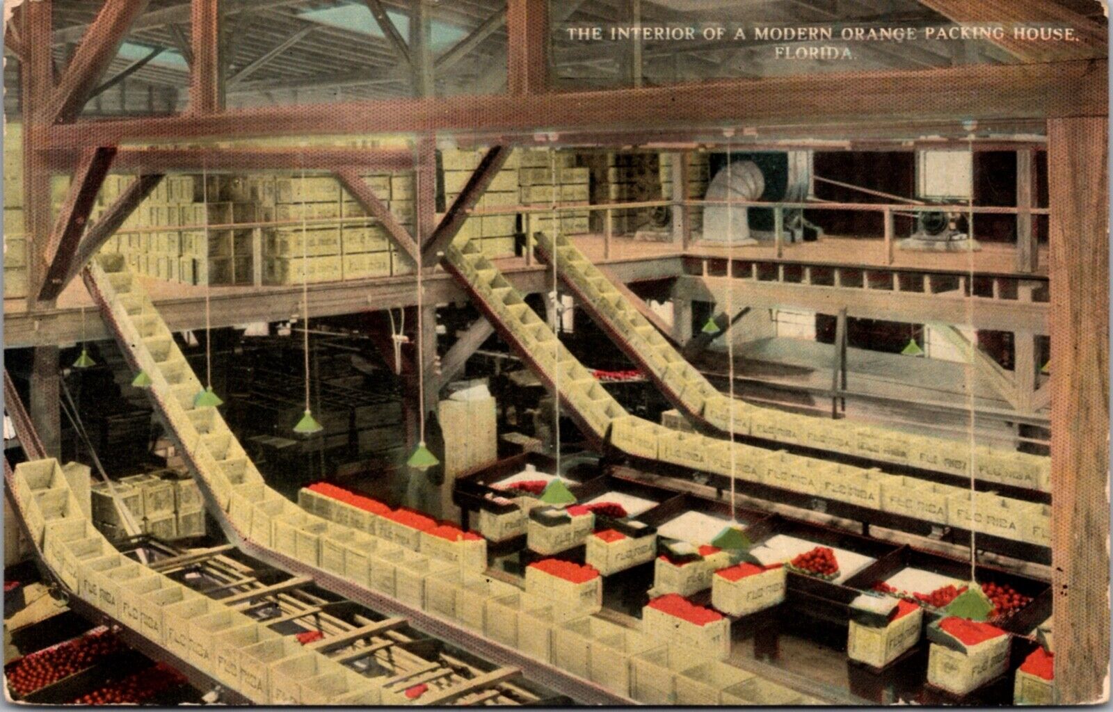 Postcard The Interior of a Modern Orange Packing House, Florida