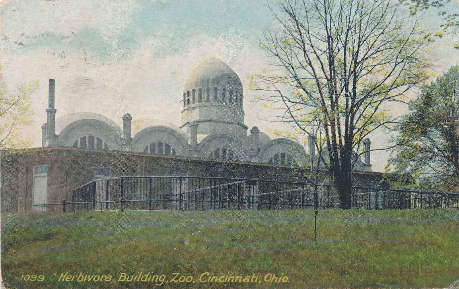CINCINNATI OH - Zoo Herbivora Building Postcard - 1908