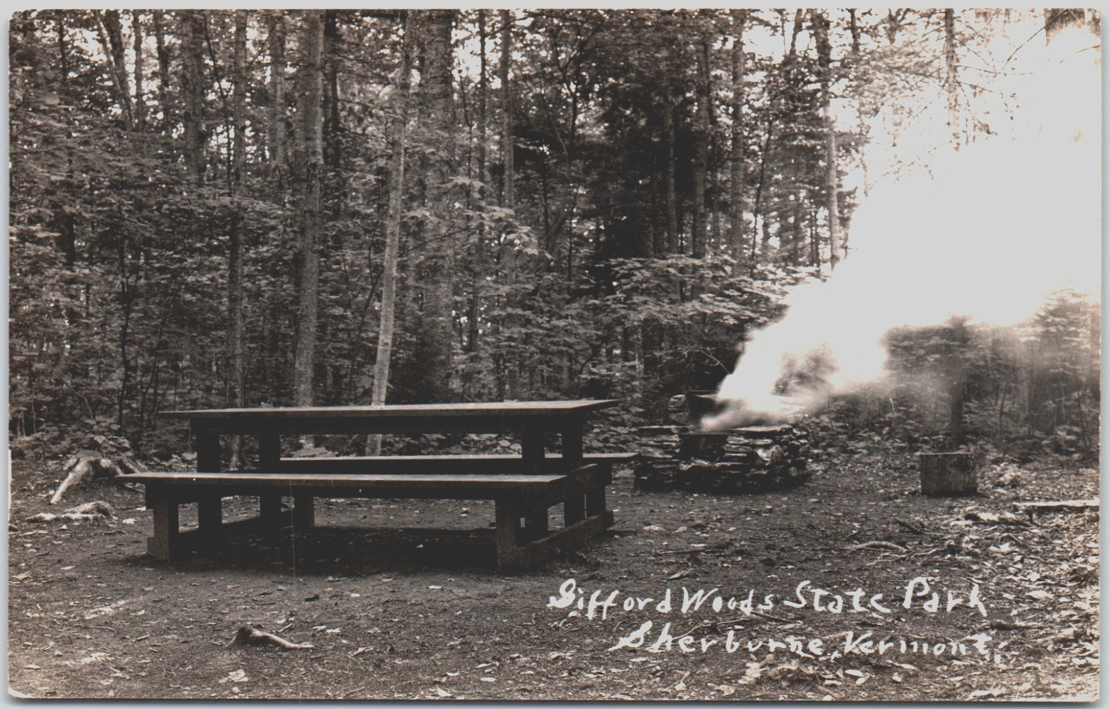 Sherburne Vermont Gifford Woods State Park Camp Fire Smoke RPPC Vintage Postcard