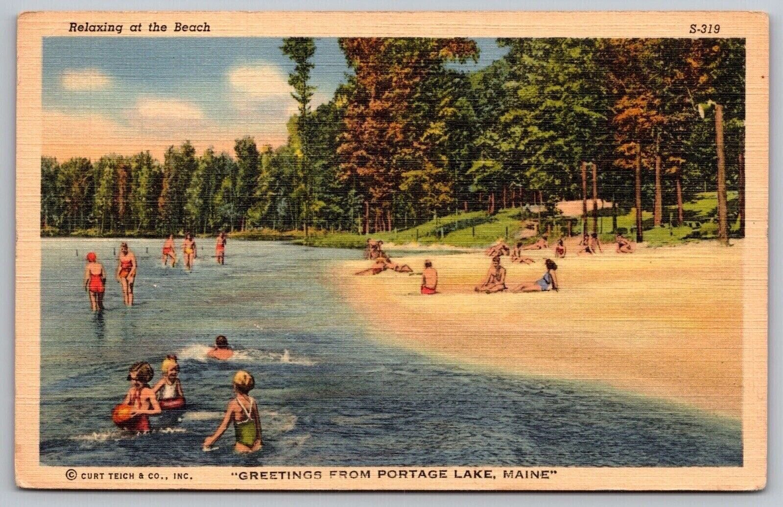 Beach Greetings Portage Lake Maine Lakefront Shore Forest Vintage UNP Postcard