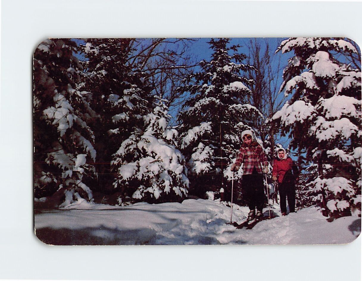 Postcard Winter Fun, Vacationland Scene