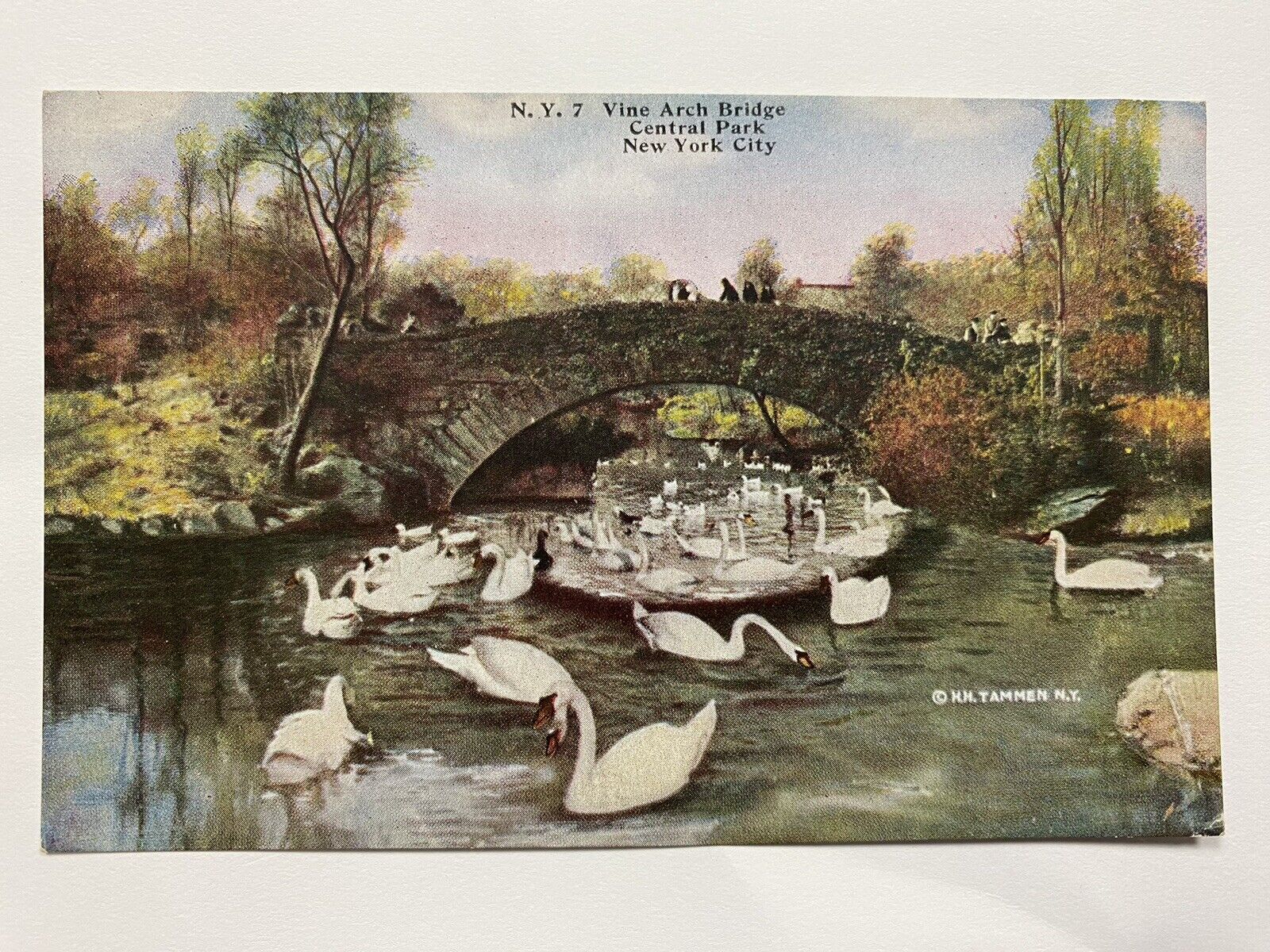 Vintage 1910 Vine Arch Bridge Central Park New York City Postcard