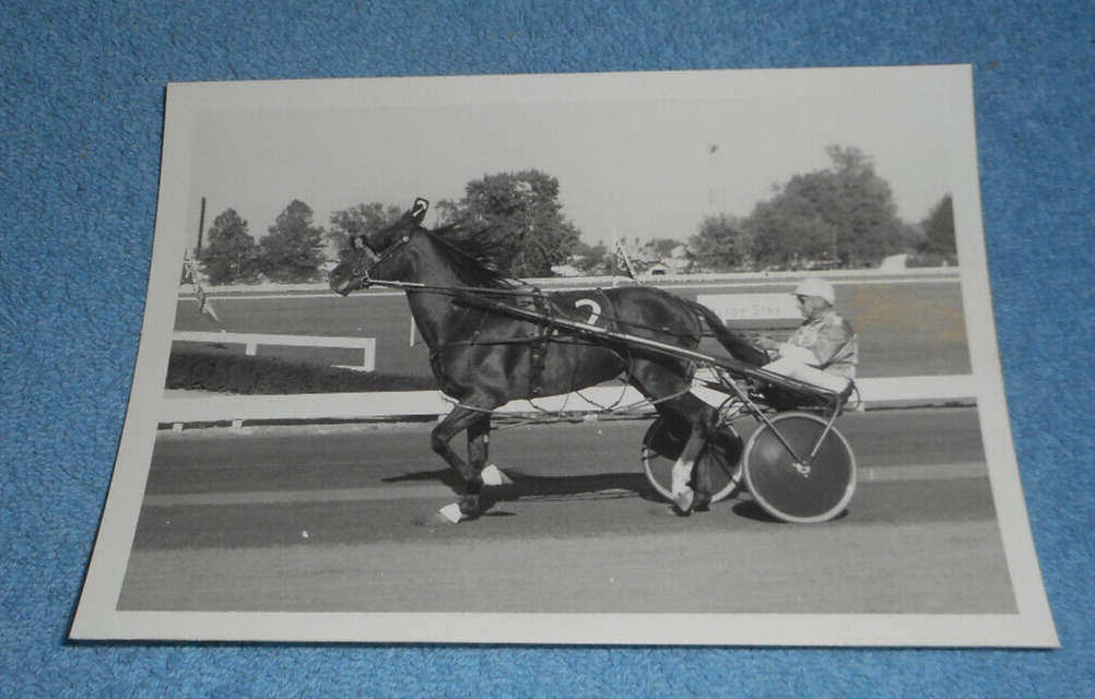 1970s Harness Racing Press Photo Horse \