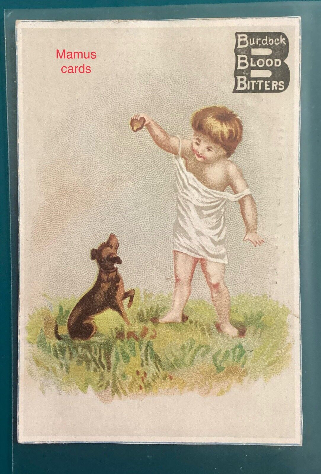 Trade Card Burdock Blood Bitters Invalid Ladies This Is For You 7x11 Cm