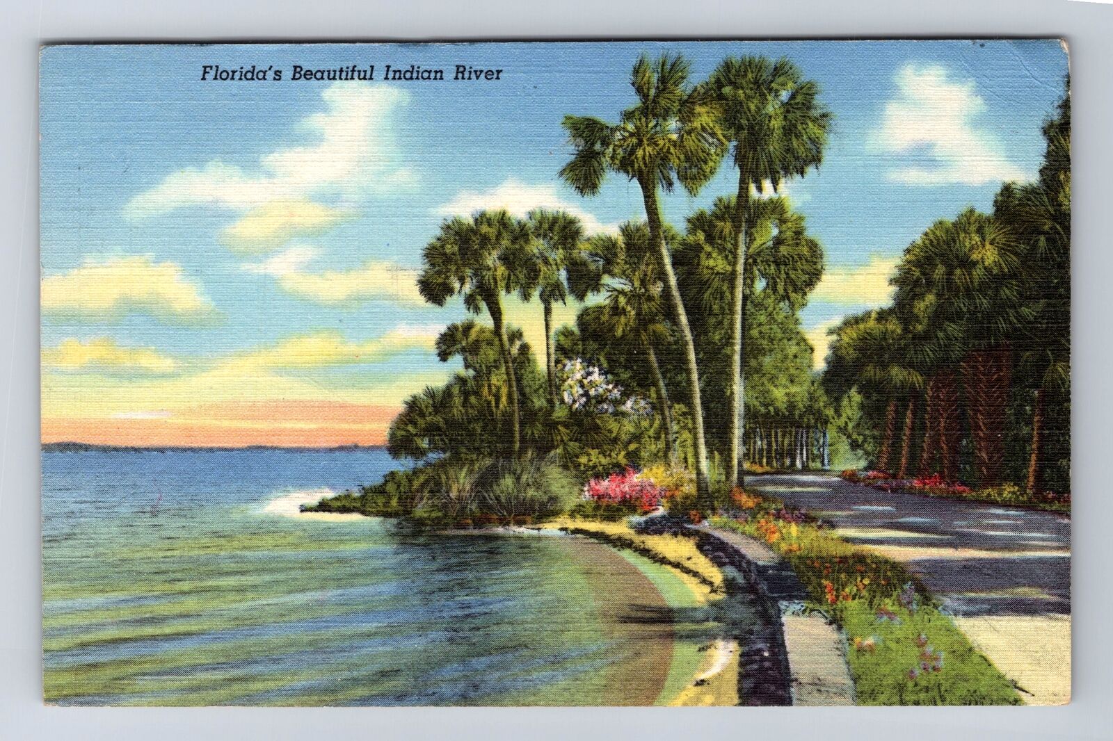FL-Florida, Indian River, Antique, Vintage c1943 Postcard
