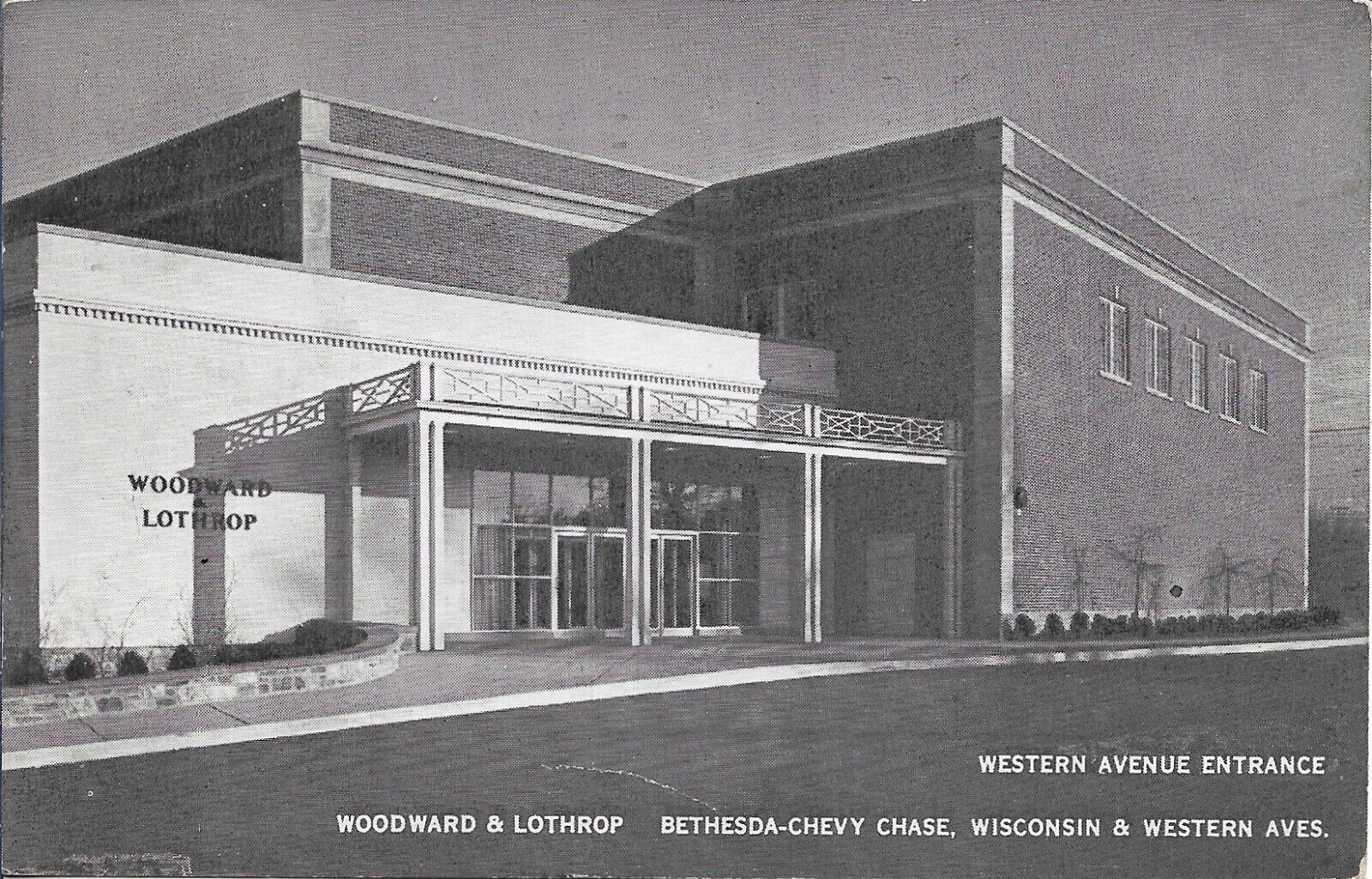 Woodward + Lothrop Postcard Washington DC Woodies Department Store 1951 Posted