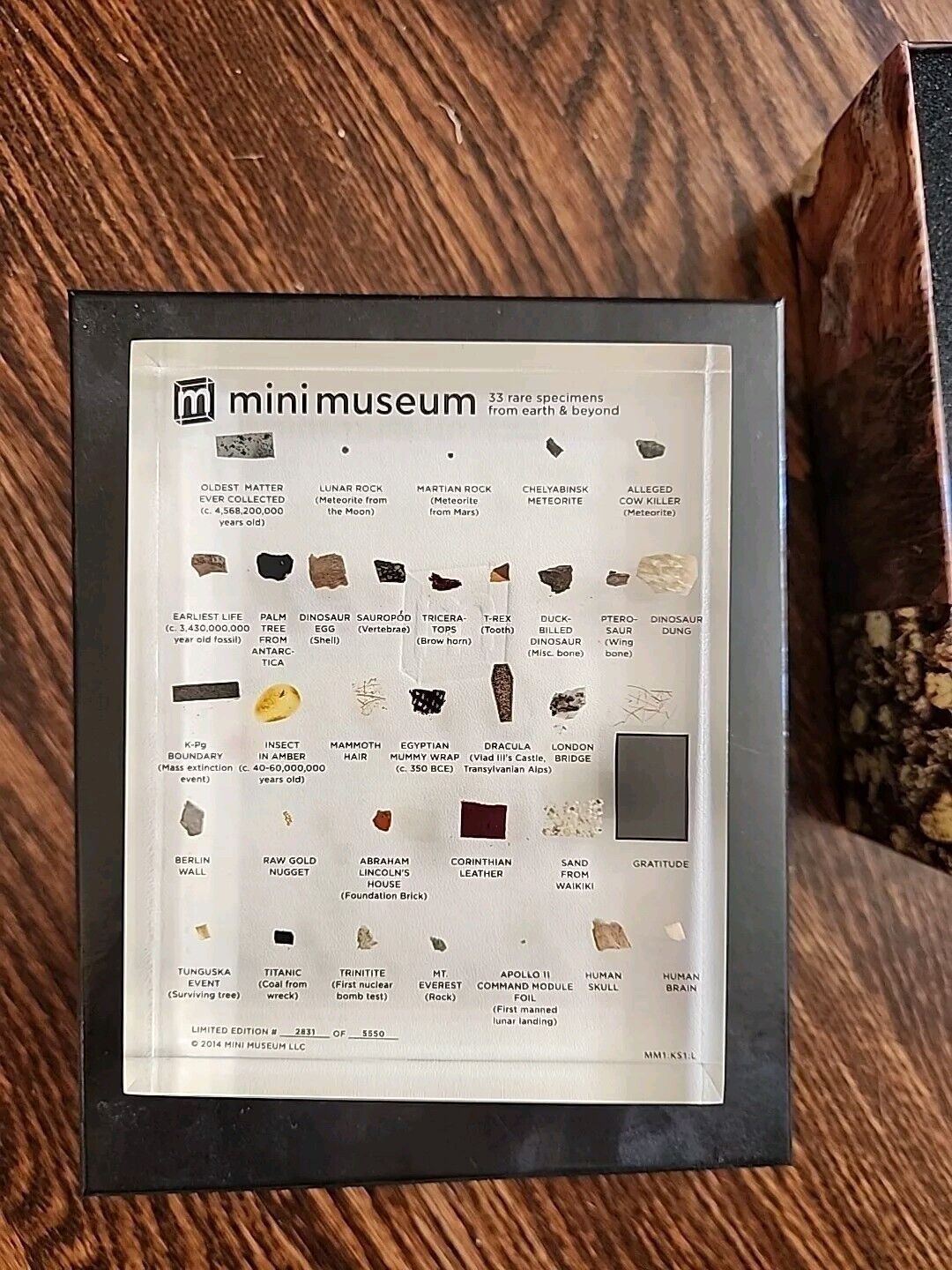 Mini Museum 1st Edition 1 - Large 33 Rare Specimens Hans Fex Kickstarter