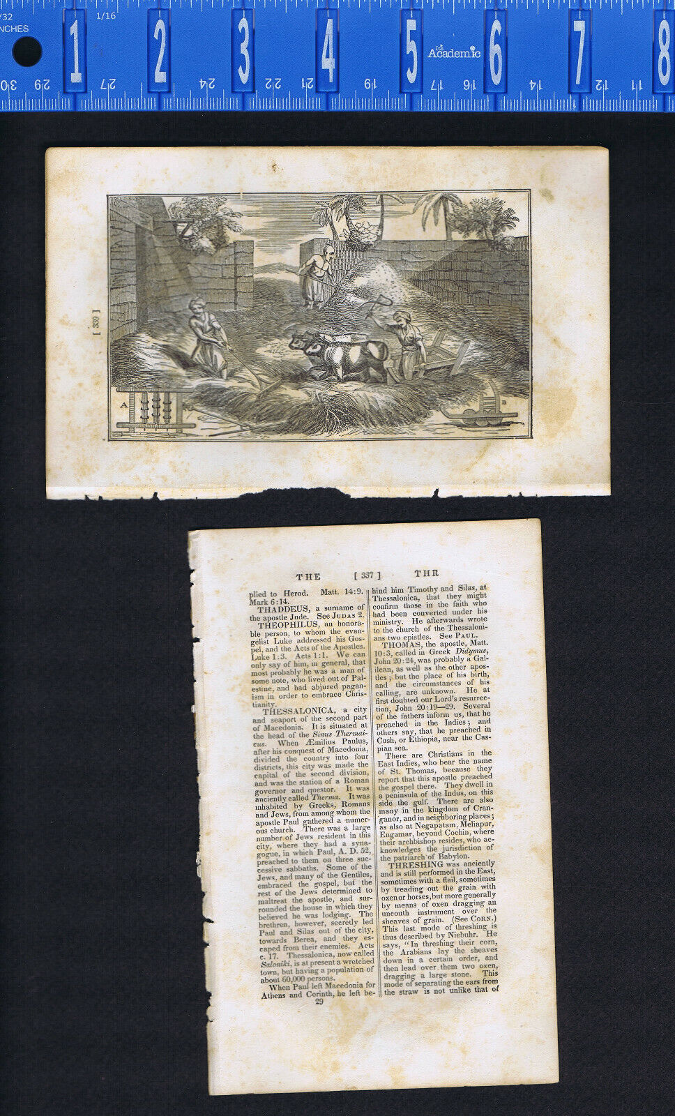 1833 Biblical Description of Threshing with Engraving
