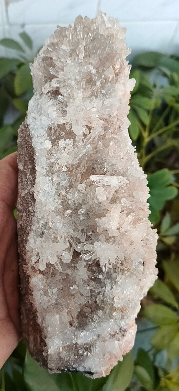 855g Natural Smoky Skeletal Elestial Quartz Crystal Cluster Mineral Spenimen