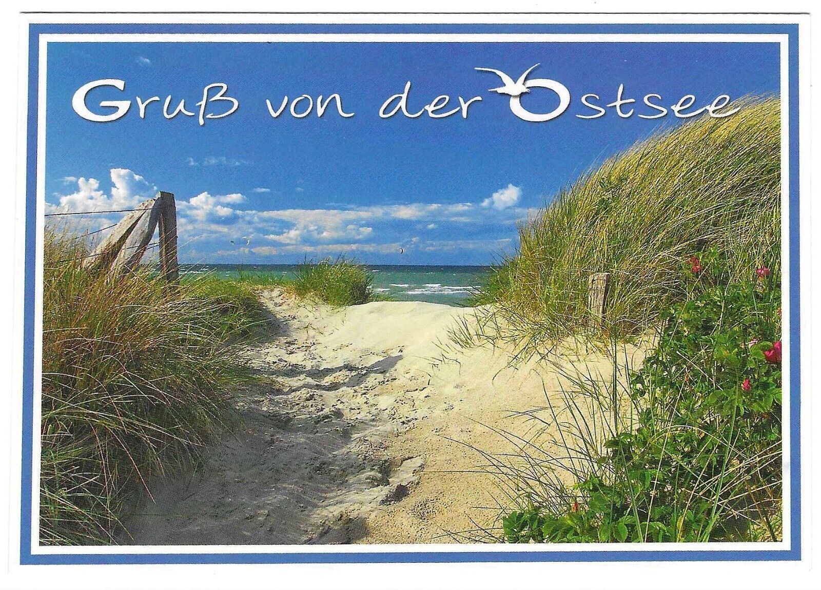 Chrome Postcard North Coast Germany Gruss von der Ostsee Beach Scene Baltic Sea