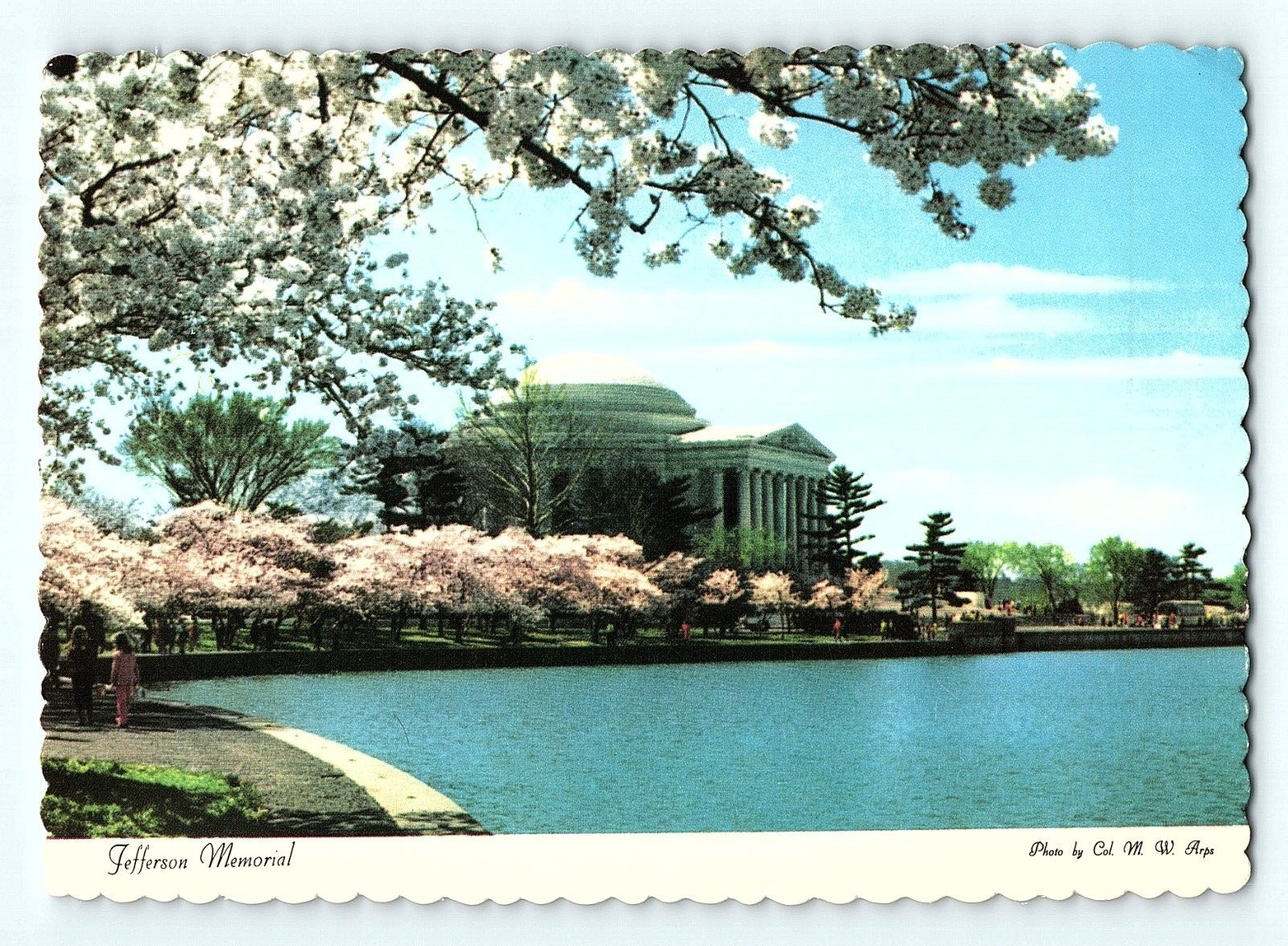 Cherry Blossoms Jefferson Memorial Washington D. C. Vintage Postcard D3