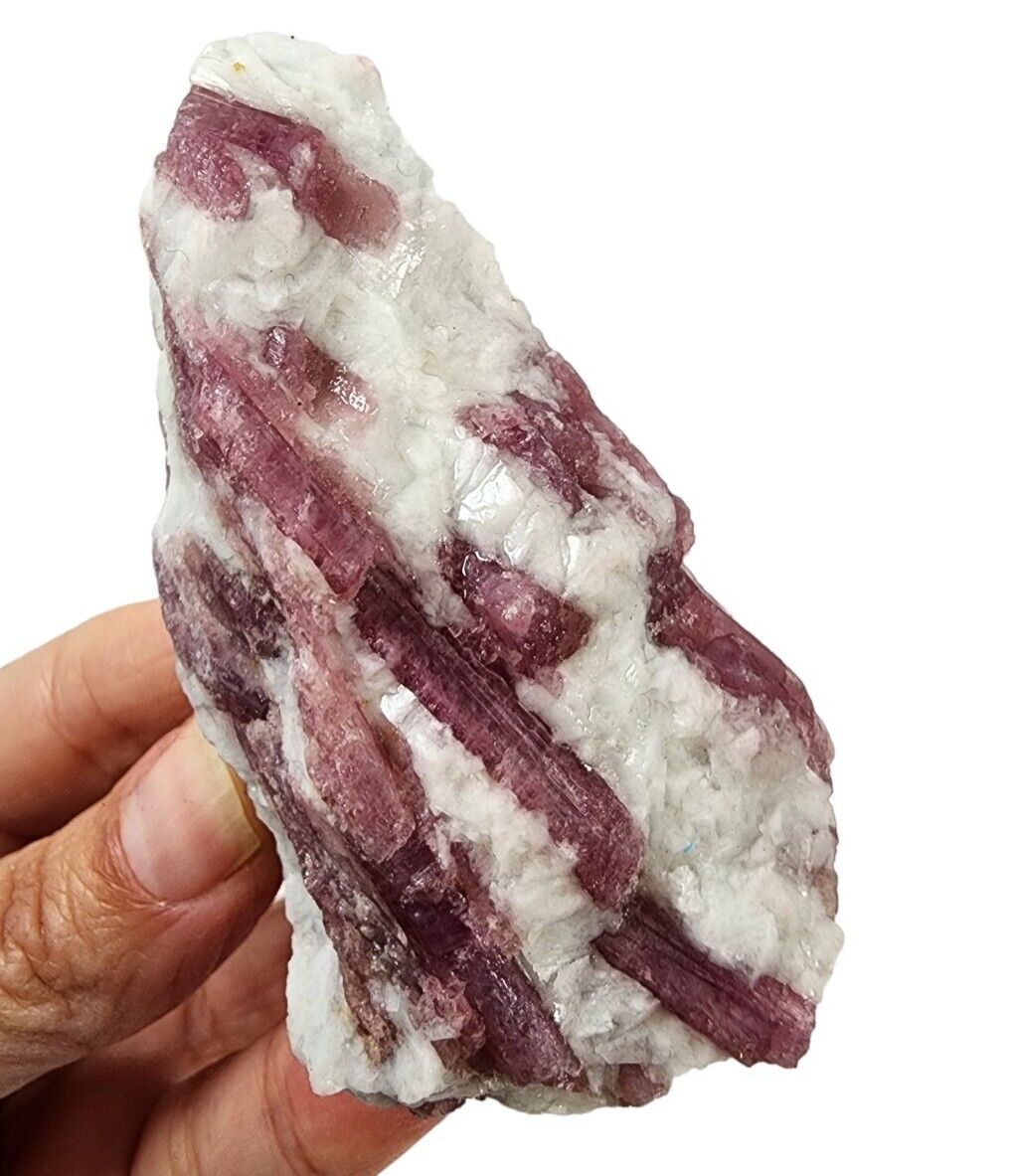 Pink Tourmaline Crystal in Quartz Natural Brazil 94 grams