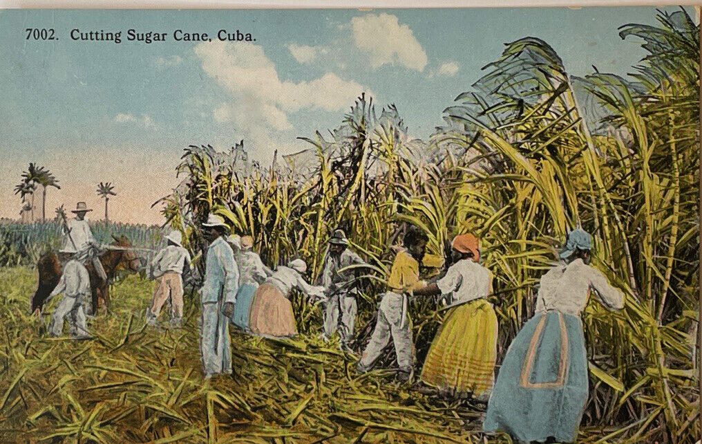CUBA CUTTING SUGAR CANE 7002 PUBL BY HARRIS BROS - Postcard Tarjeta Postal