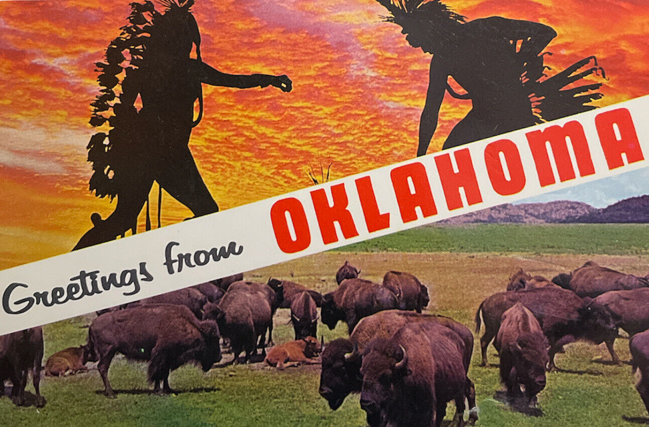 Greetings from Oklahoma Postcard Used 1960s Buffalo