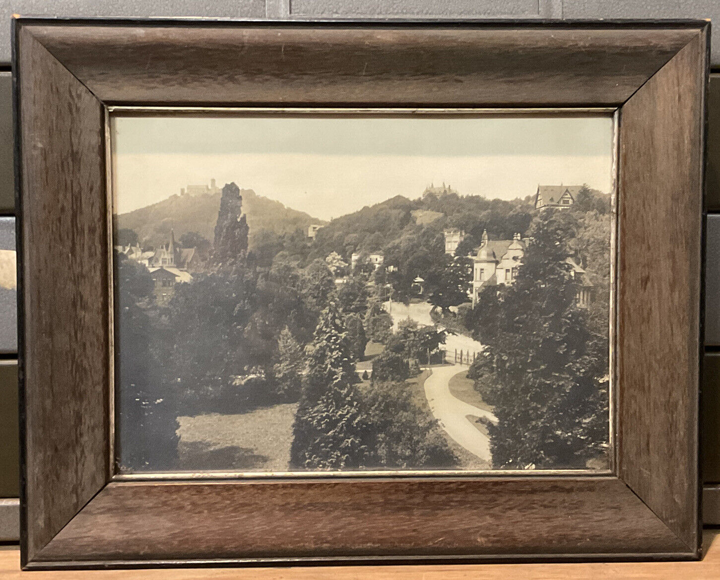 Antique Photograph View of Kartausgarten From Wartburg Castle Eisenach Germany