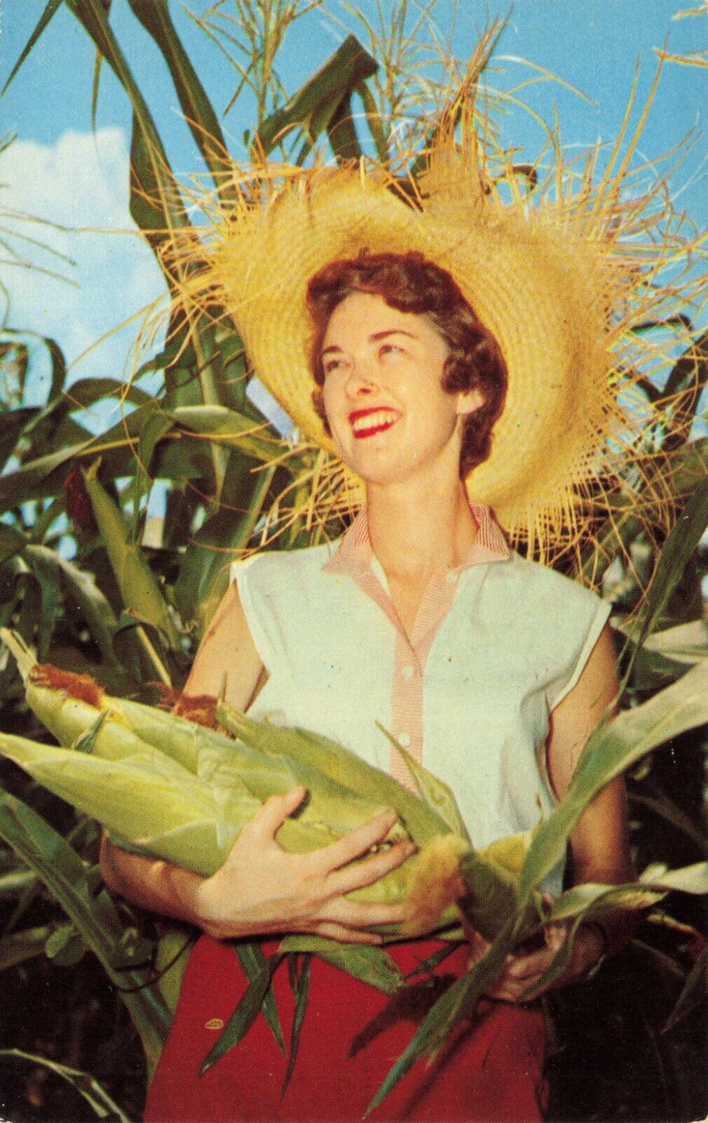 Postcard MS Jackson Farm Straw Hat Deep South Harvest Field Stalks