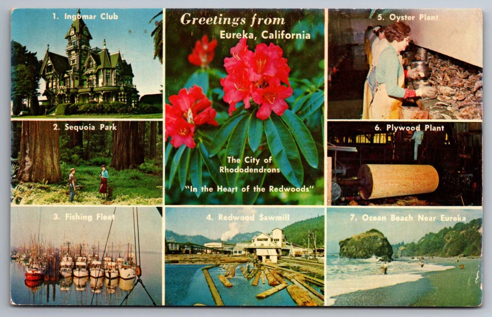 Postcard Greetings from Eureka California Points of Interest    B 23