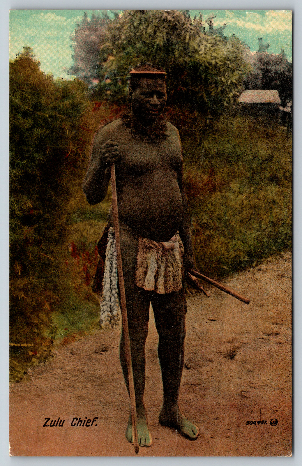 c1910s  Zulu Chief Native South Africa Warrior Antique Postcard