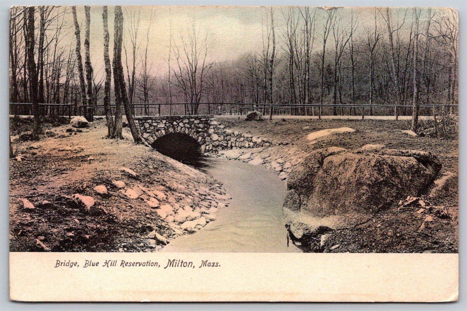 Milton Massachusetts DB Postcard Bridge Blue Hill Reservation Rotograph C 1908