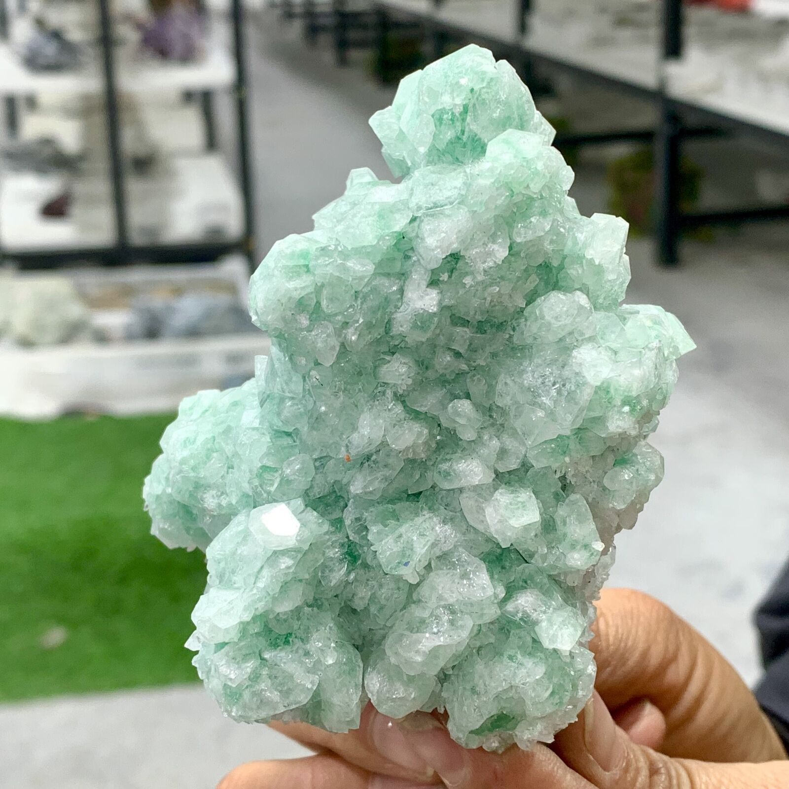 381G Beautiful green strawberry quartz crystal cluster mineral specimen healing