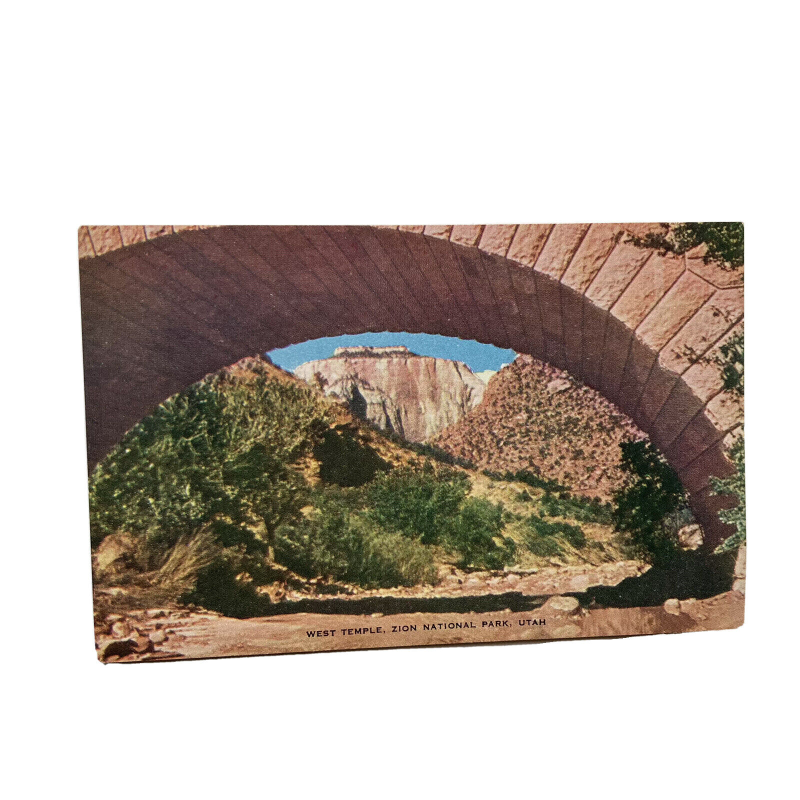 Zion National Park Utah UT West Temple Postcard