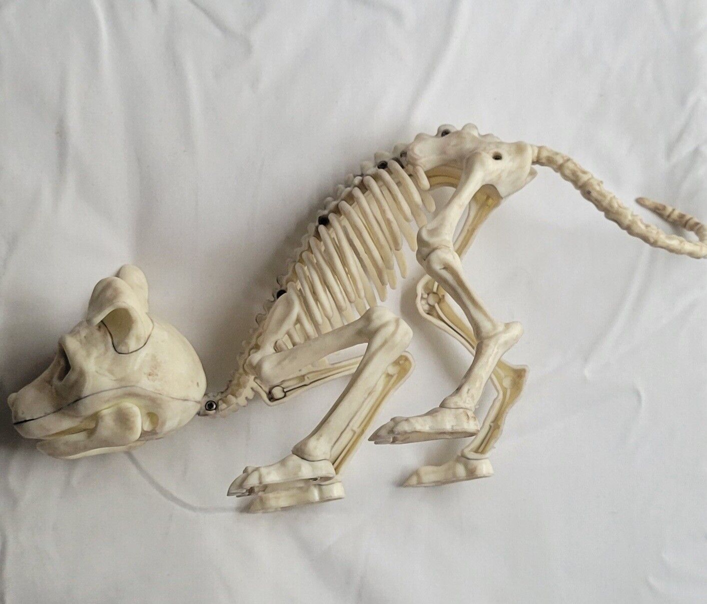 Halloween Decoration Faux Skeleton Animal Puppy Dog Pouncing Crouching Decor