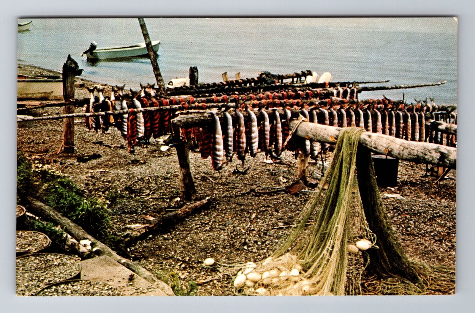 Kotzebue AK-Alaska, Salmon Drying on Bering Sea, Antique Vintage Postcard