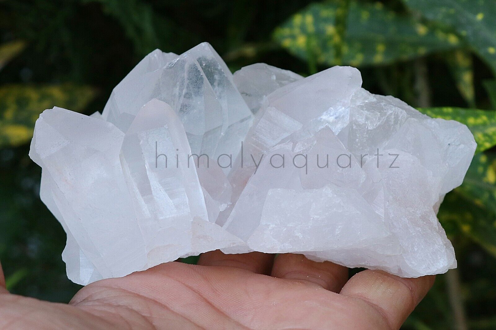 Wonderful Natural Healing Cluster White Quartz Raw Crystal 580 gm Rough Specimen